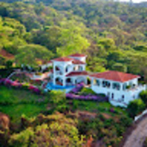 Meet your Posher, Angel